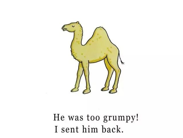 dearzoo英文绘本音频,dearzoo绘本讲解