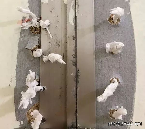 韩国偷拍多猖獗,韩国违法偷拍