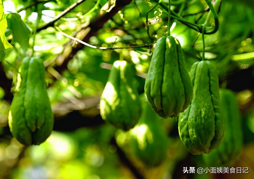 佛手瓜怎么做清脆爽口,清口佛手瓜