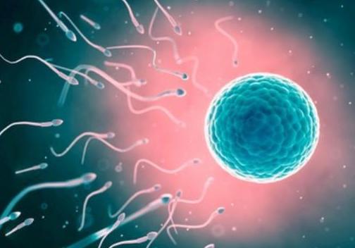 精子能在女人体内存活多久时间?无论是备孕还是避孕,你都该知道