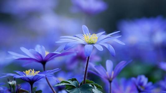 金牛座最受不了冷战的星座,十二星座最佳恋爱总结金牛