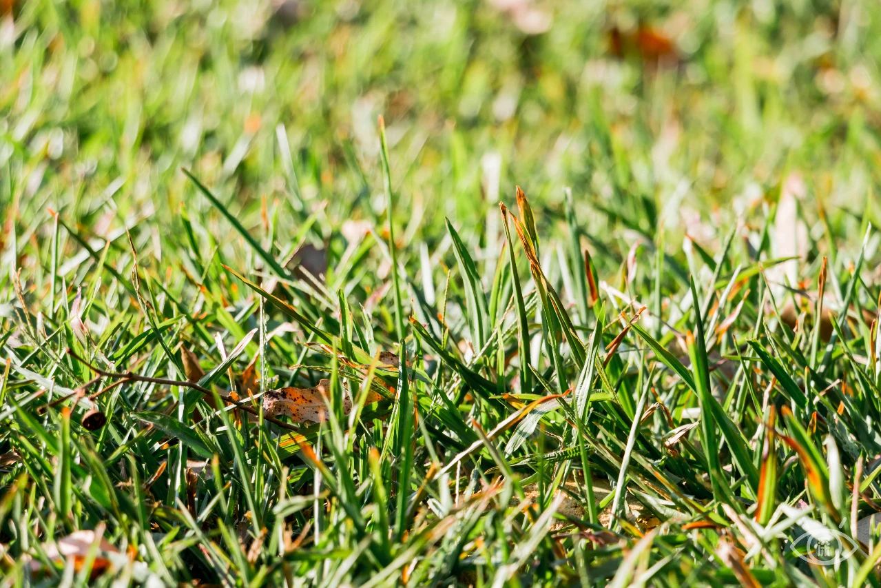 深圳各区最美的地方,深圳6个绝美地方