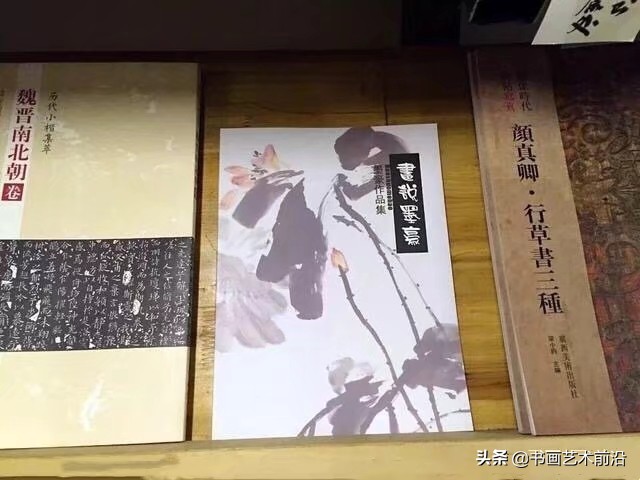 猪娃淅川,猪娃个人简介