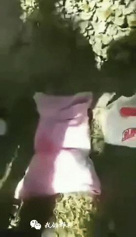 古稀老年人画,叶脉造型画