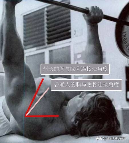 增肌和力量举训练的区别,力量举训练可以把肌肉练大吗