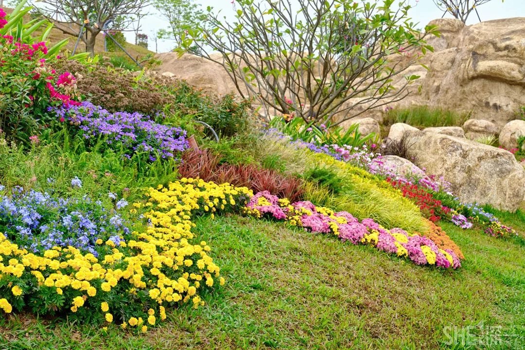 深圳5号地铁线附近的公园,地铁直达的深圳商圈