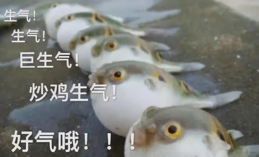 住院要10000多，在家治不到300，治黄疸你选哪个？