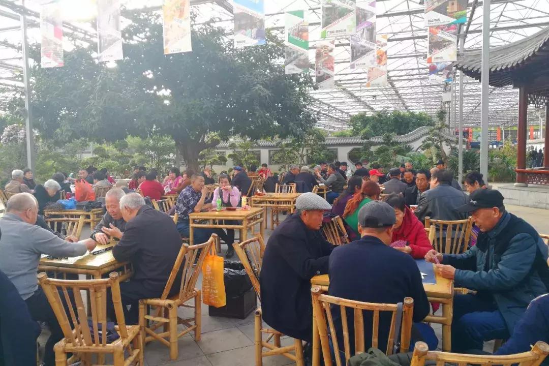 从亲子圣地到每天50个大巴团，九天休闲谷变味儿了？