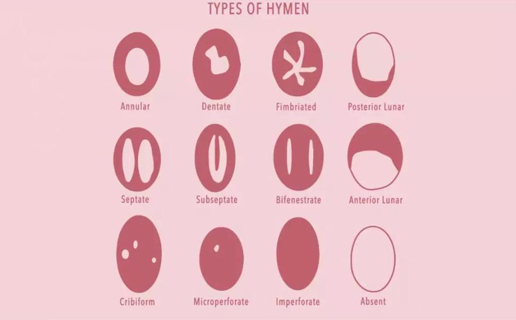 女生例假必备神器卫生巾,例假必备神器卫生巾