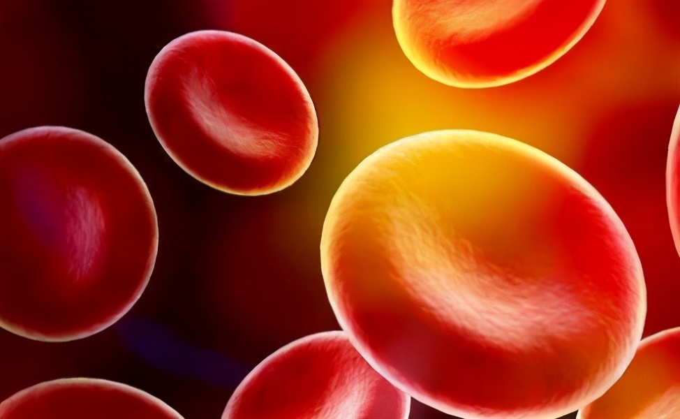 胆红素偏高的原因及危害怎么办,胆红素升高了是怎么回事