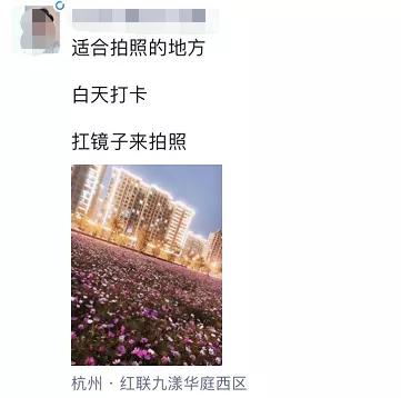百亩花海竞相开放视频,余杭径山花海