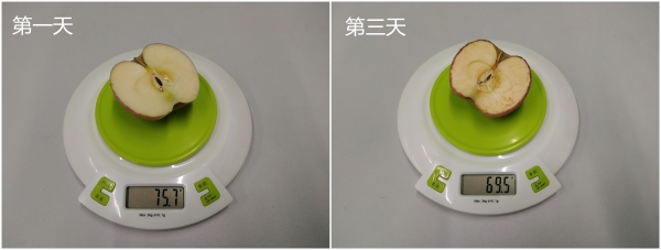 性价比品牌小冰箱,性价比高小冰箱哪个品牌好