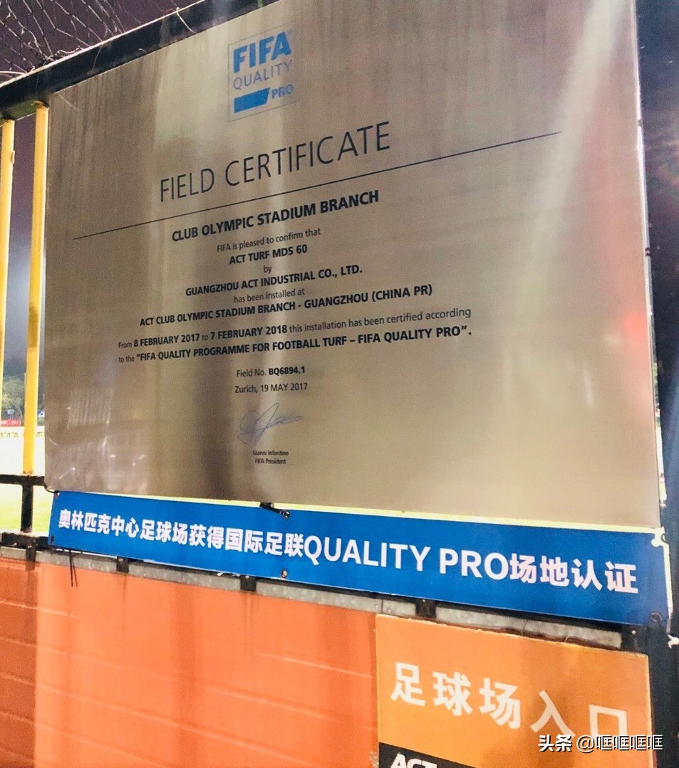 阿迪达斯最新款足球,第一个阿迪达斯