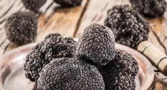 世界上最极品的食物是什么样的,世界上7大顶级食物