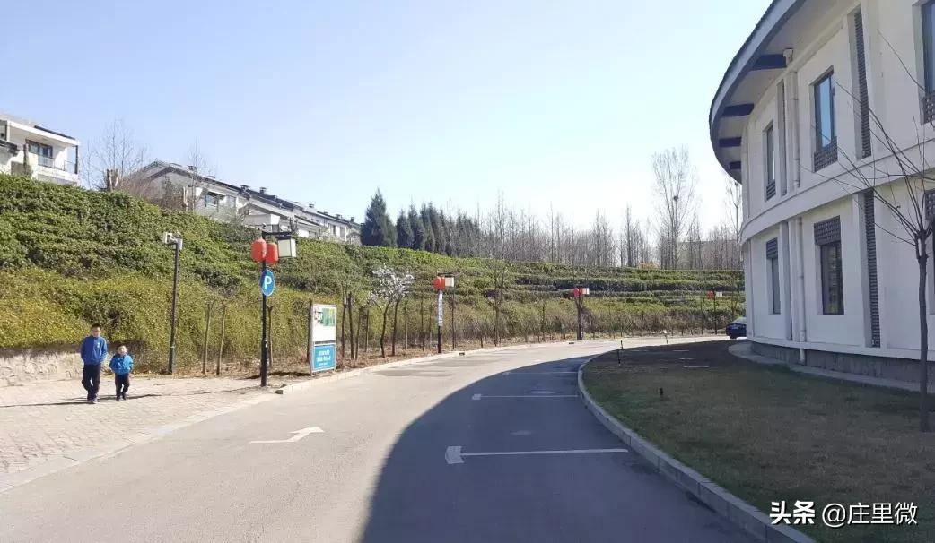 石家庄周边旅游一日游免费,石家庄周边一日游10月中旬