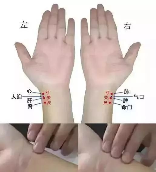 中医把脉的原理是什么动画,中医如何把脉看病图解