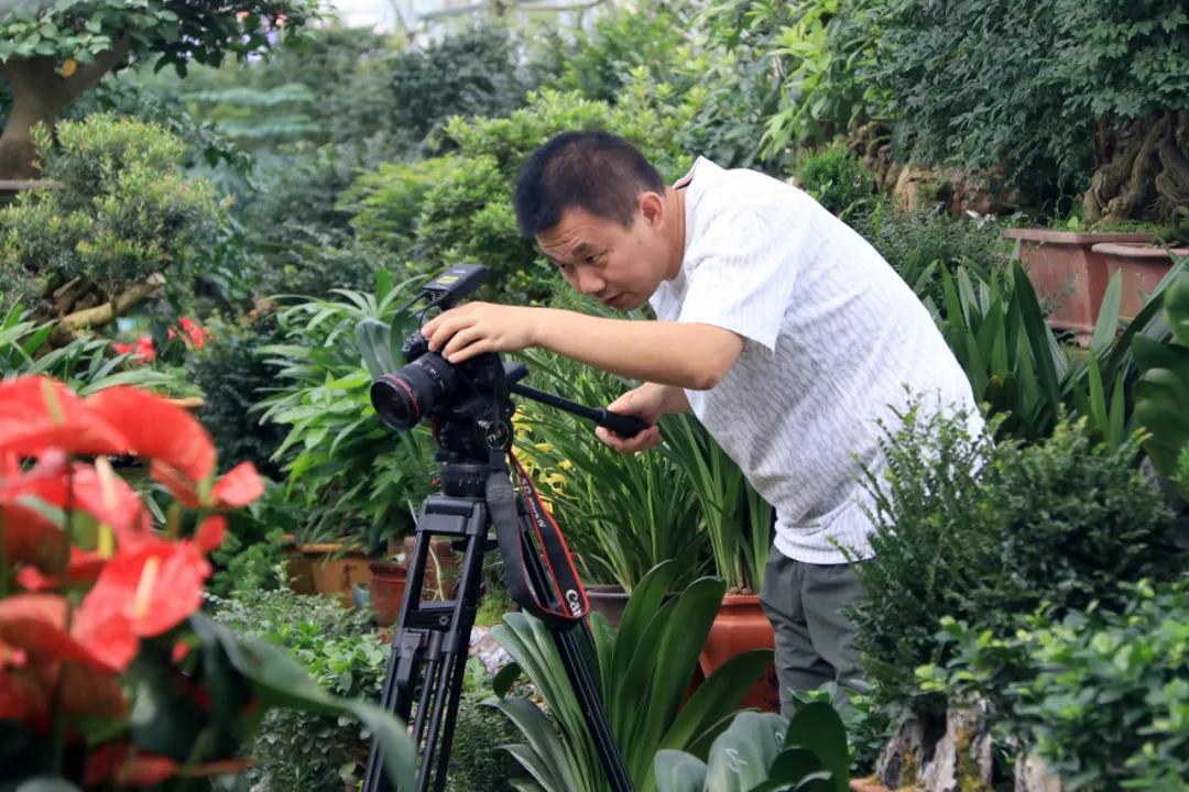 宿迁市沭阳县沭阳国际花木城,沭阳国际花木城布局