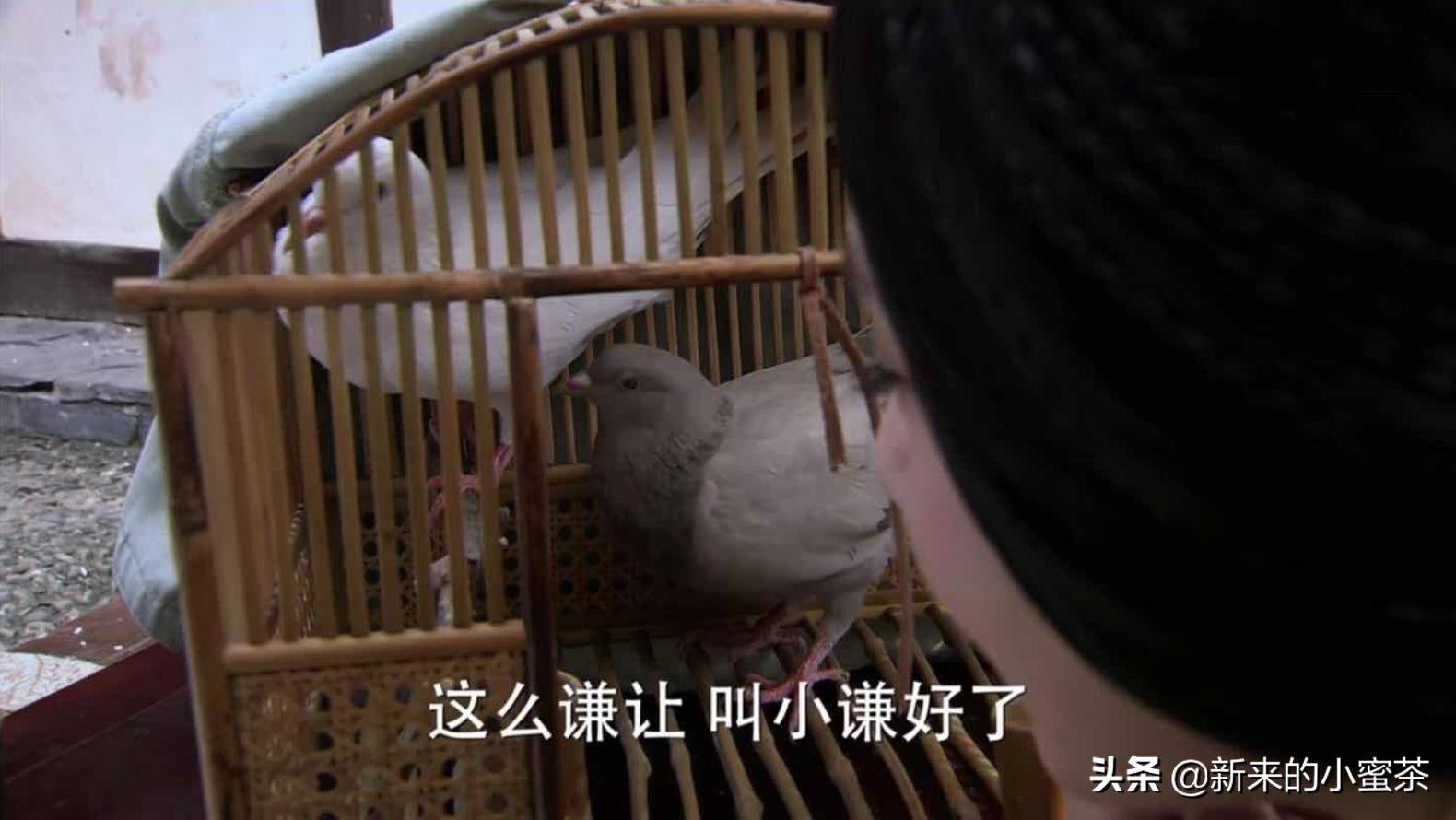 偏冷门剧风中奇缘电视剧,风中奇缘电视剧虐心