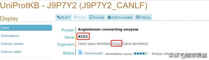 养猫家庭新冠对策全知道，别再听信谣言，也别再想当然了