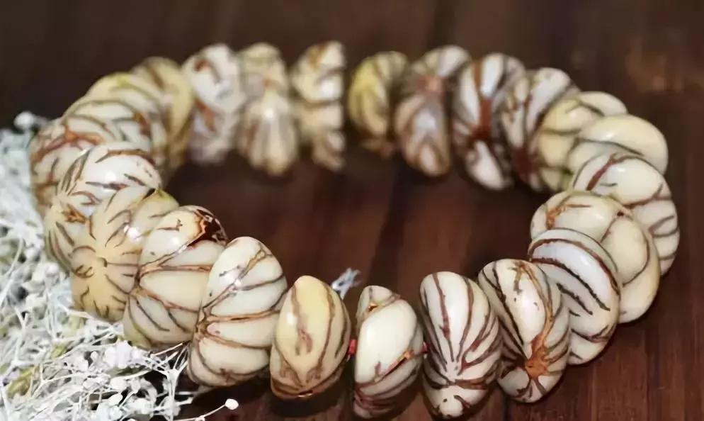 最全的菩提子图解太美了,最好的菩提子