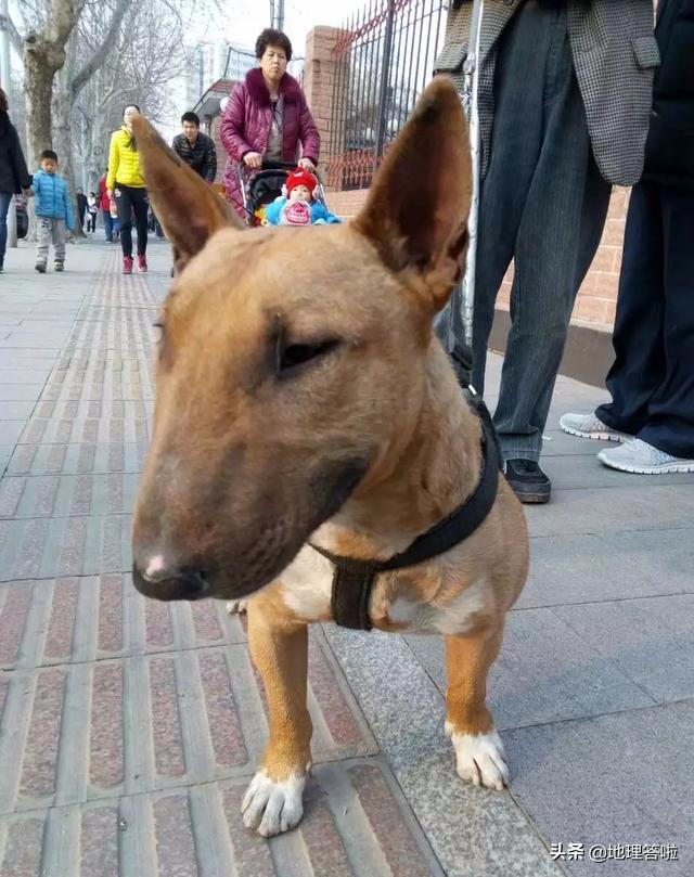 34个省级行政区所有特色,记忆我国34个省级行政区的分布图