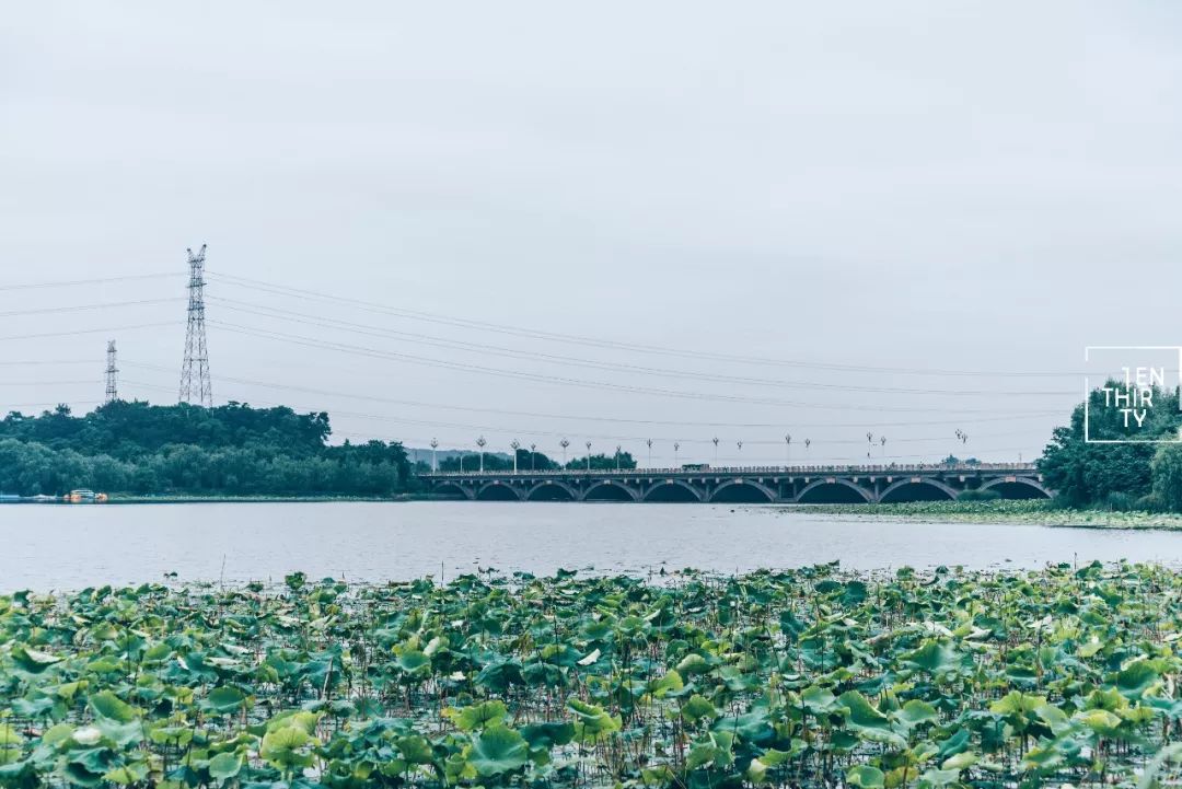 武汉冬季好玩的免费景点,武汉东湖免费景点有哪些