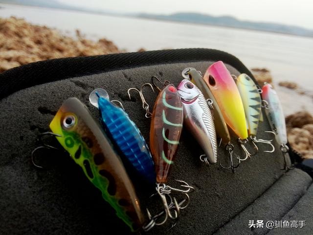 路亚赤眼鳟攻略,赤眼鳟路亚操作手法