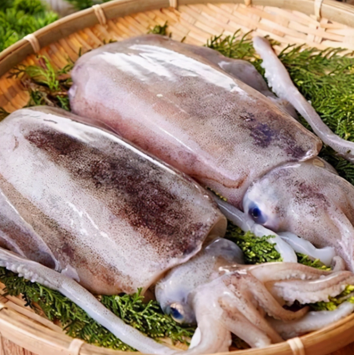 墨鱼好吃有诀窍教你特色做法,墨鱼怎么做好吃又脆爽