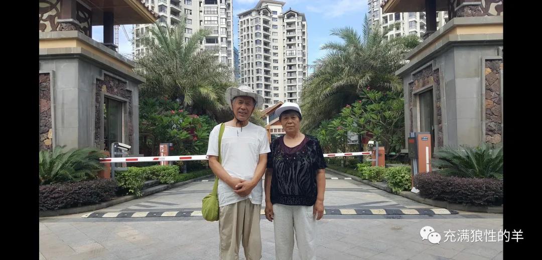 桃源居故事,桃源居简介