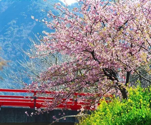 汉字知识大分享,国人必知的汉字常识