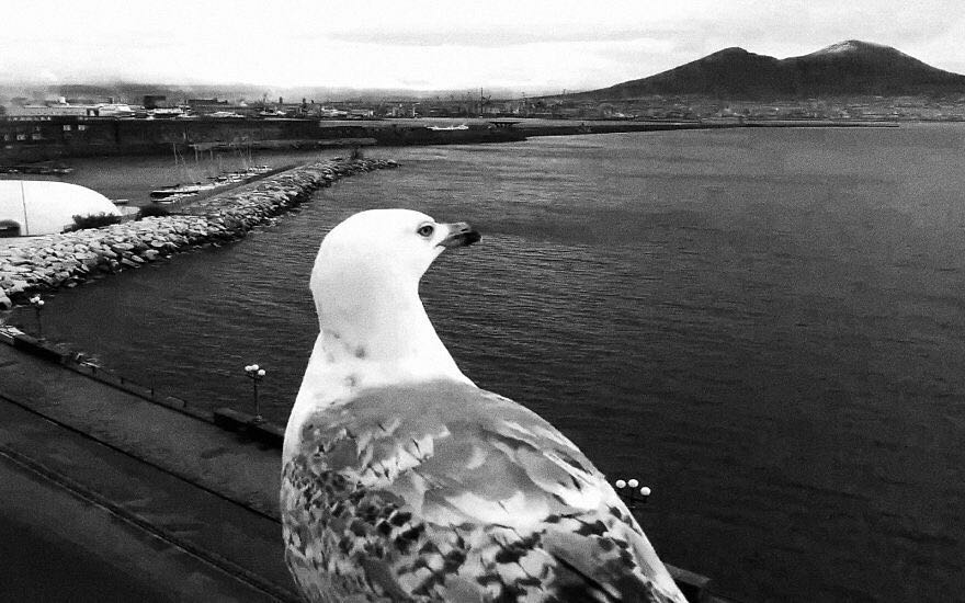 街头监控拍下天使救人,监控拍到国外街头的视频