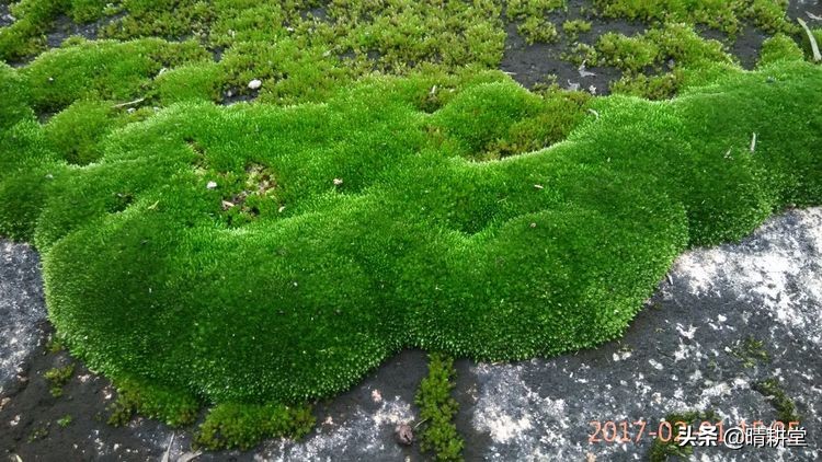 赣州峰山附近一日游自驾游景点,赣州峰山美景