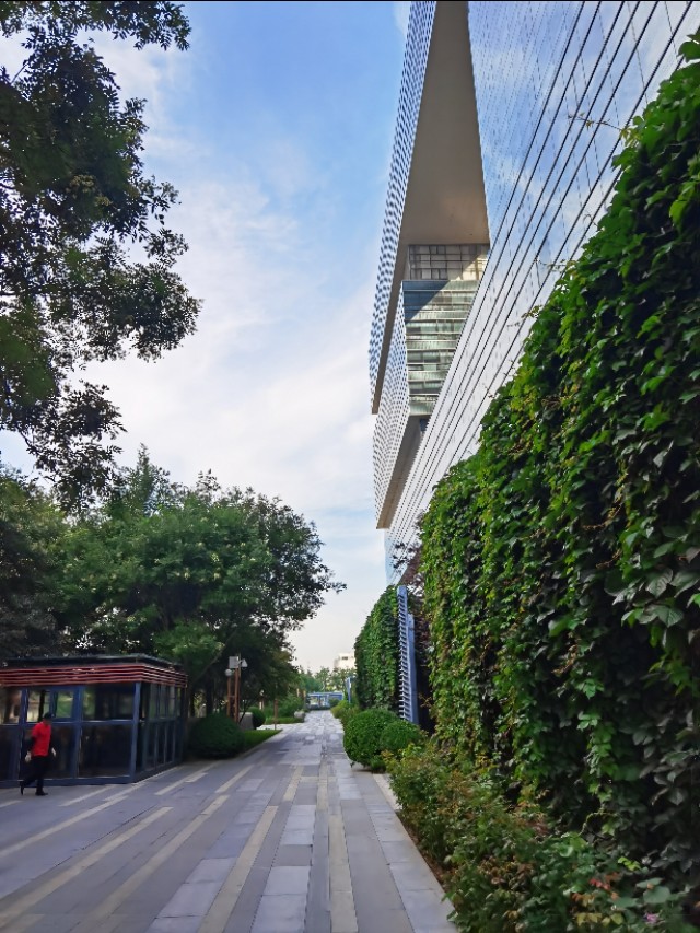 京东总部上班需要什么条件,京东总部上班体验