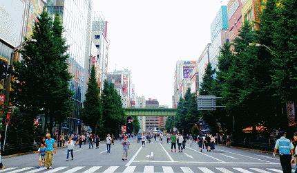 秋叶原前往京都路线,秋叶原之旅怎么去
