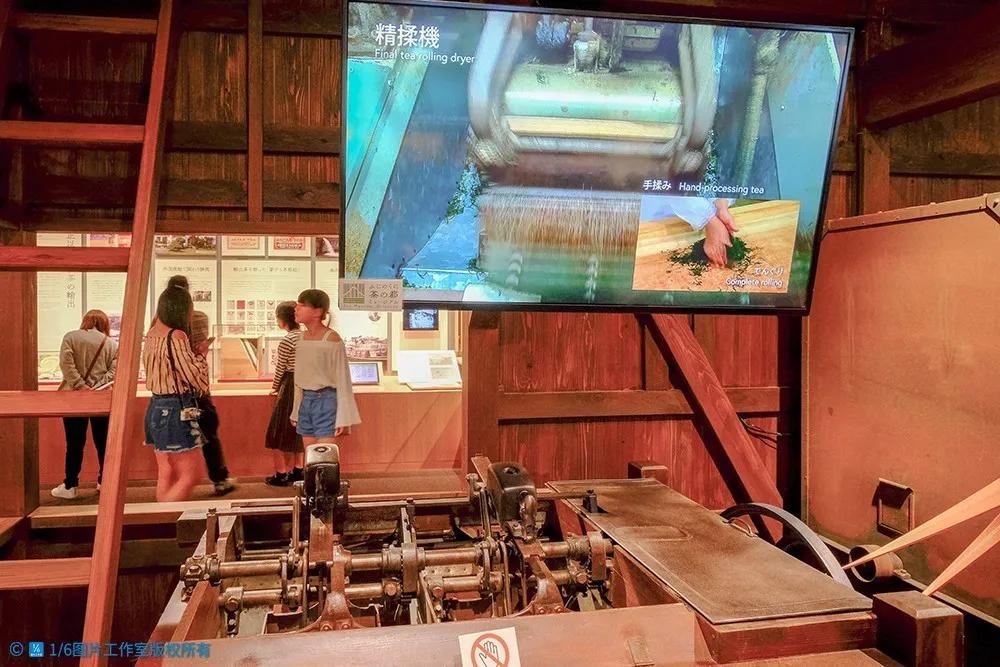 日本的茶博物馆,日本茶之都茶道体验