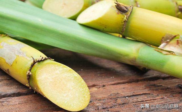 潮汕人说普通话的搞笑瞬间,潮汕话和普通话的搞笑对话