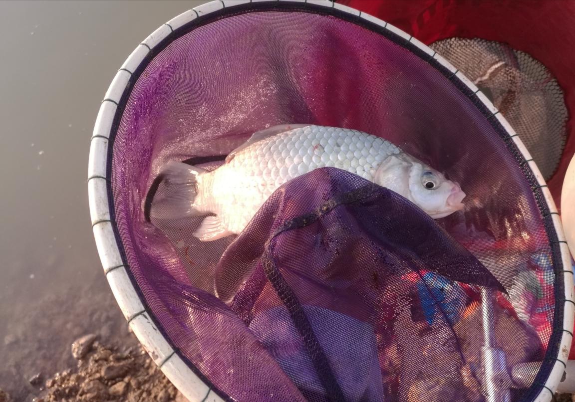 武汉冬钓钓点,武汉冬钓路亚