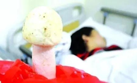 警惕广东头号毒菇,警惕新型毒品无处不在