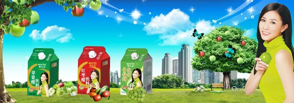 策划顾问案例：助力华生堂果醋饮料战略转型业绩3亿飞到7亿元