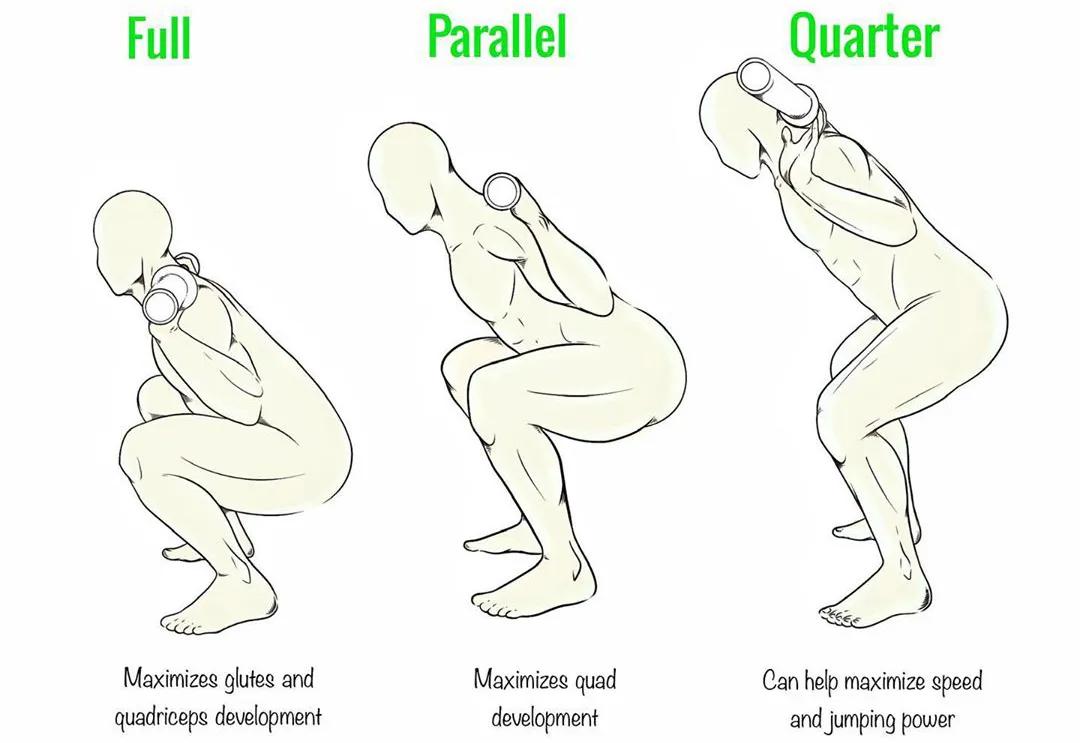 男女深蹲次数多少合适,练习深蹲一个月有什么效果