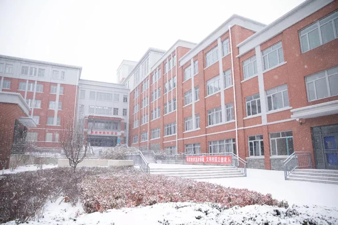 民办学校大连艺术学院全国排名,大连艺术学院辽宁排名