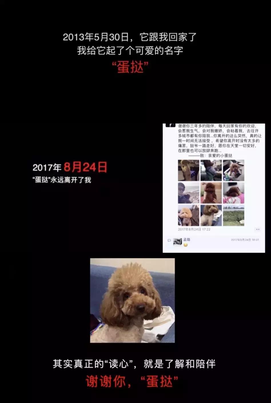 《中国达人秀》抄袭闹到日本，播出3期炸出3起抄袭事件…