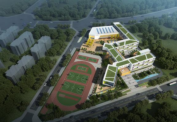 高新学校高质量发展,成都高新南区新川最新规划