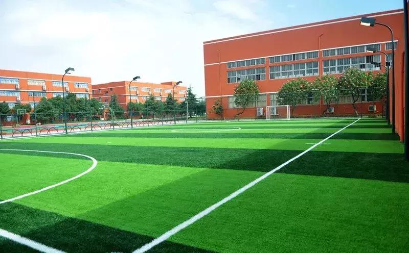 整个温州地区最好的中学,温州最好小学排名一览表