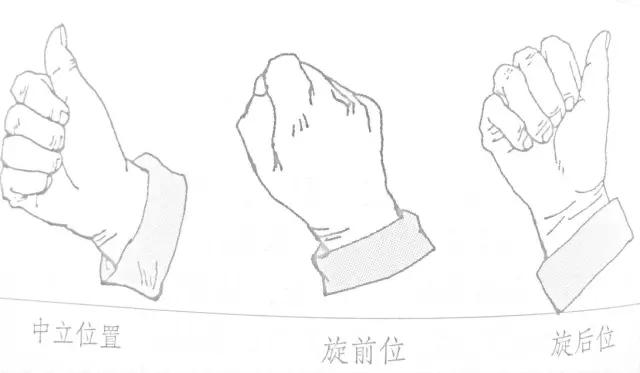 上肢骨折的护理ppt,上肢骨折的护理问题及措施