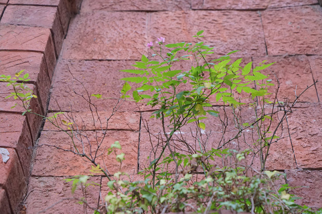 西摩会堂旧址,西摩会堂在哪里