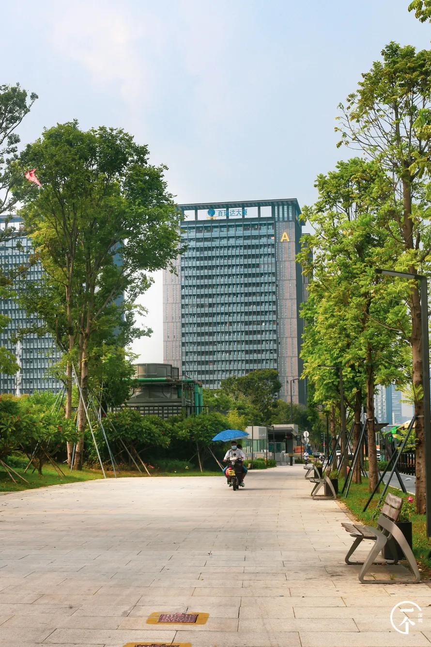 遍地华为男，深圳坂田有多绝？