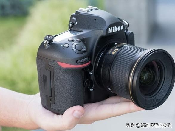 尼康相机有没有便宜一点的推荐,尼康最值得入手的入门相机