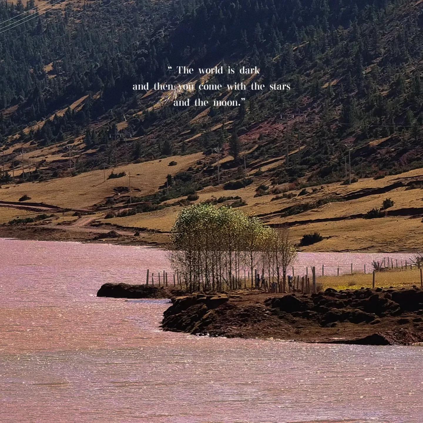 一个酒吧服务员大概是多少个,酒吧服务员经历怎么样写