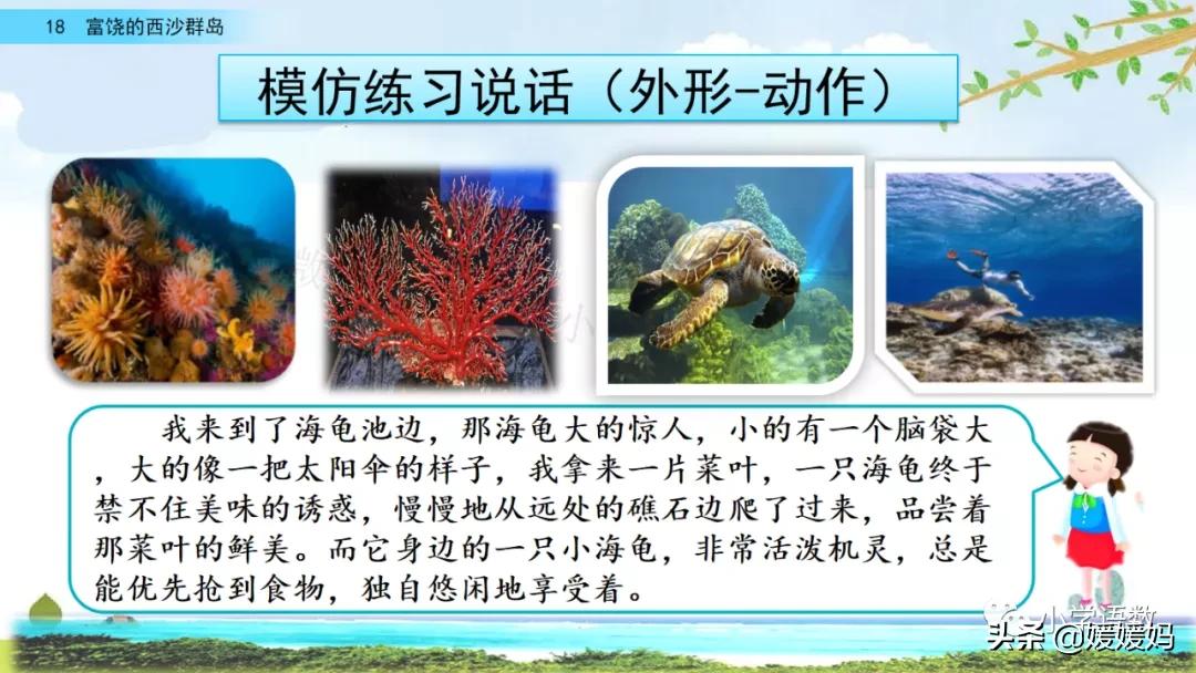 三年级第18课富饶的西沙群岛视频,三年级上册18富饶的西沙群岛笔记